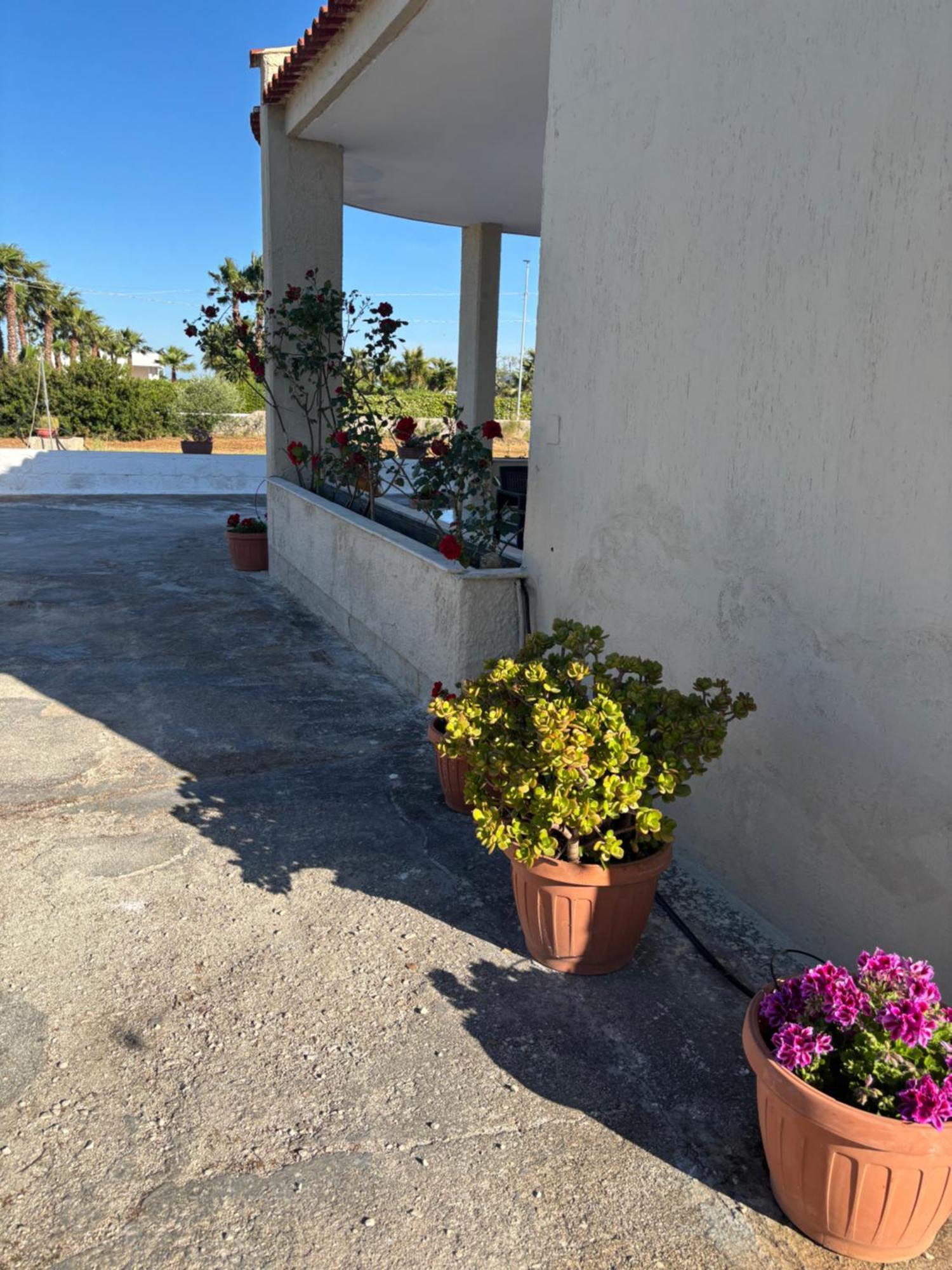 Lilly'S House Villa Torre Santa Sabina Exteriör bild