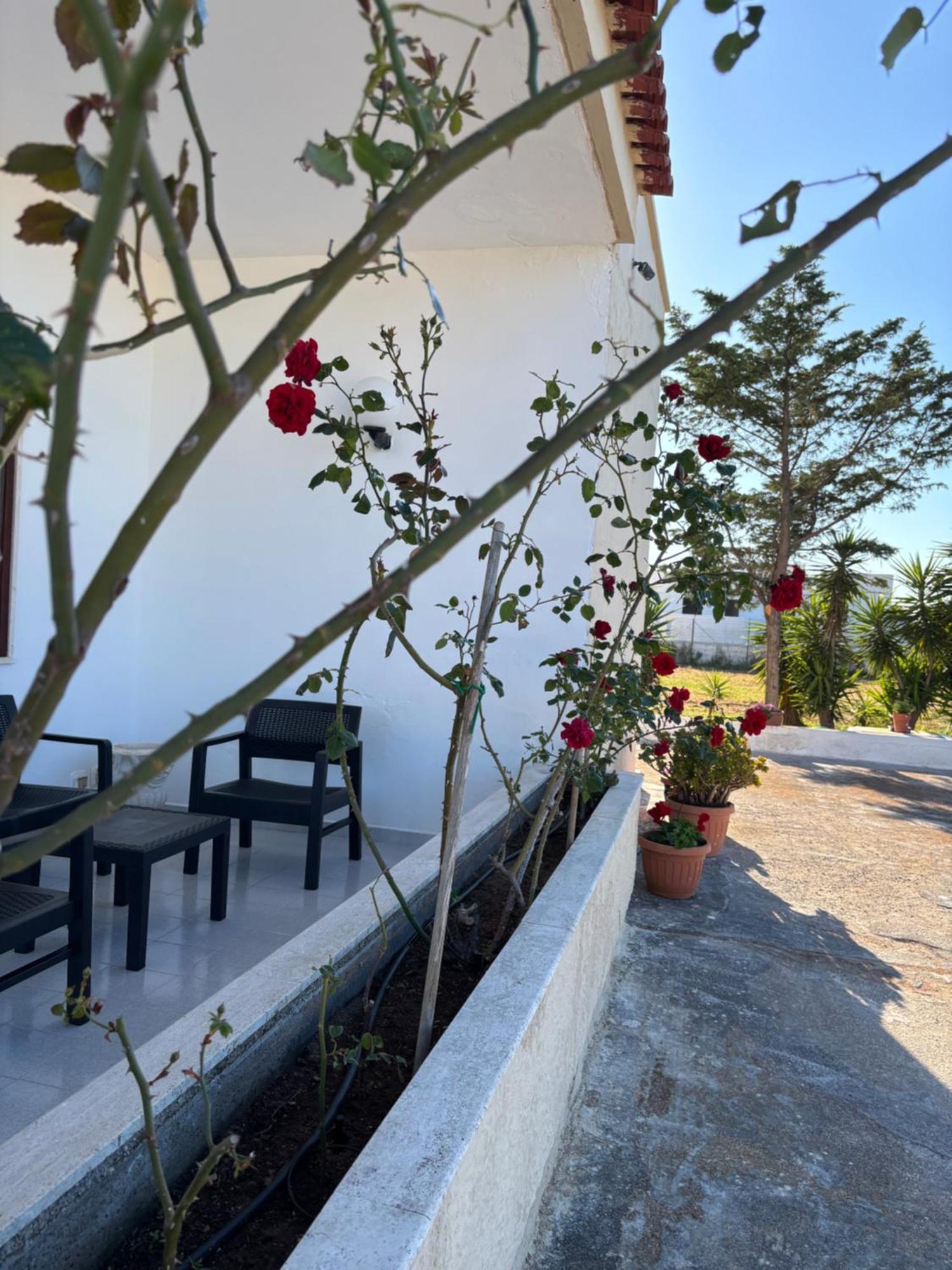 Lilly'S House Villa Torre Santa Sabina Exteriör bild
